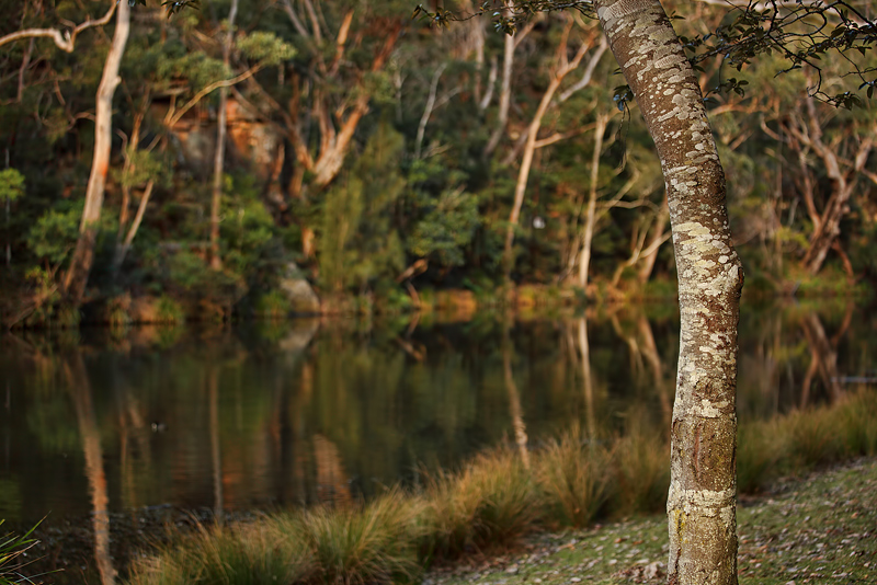 river bank