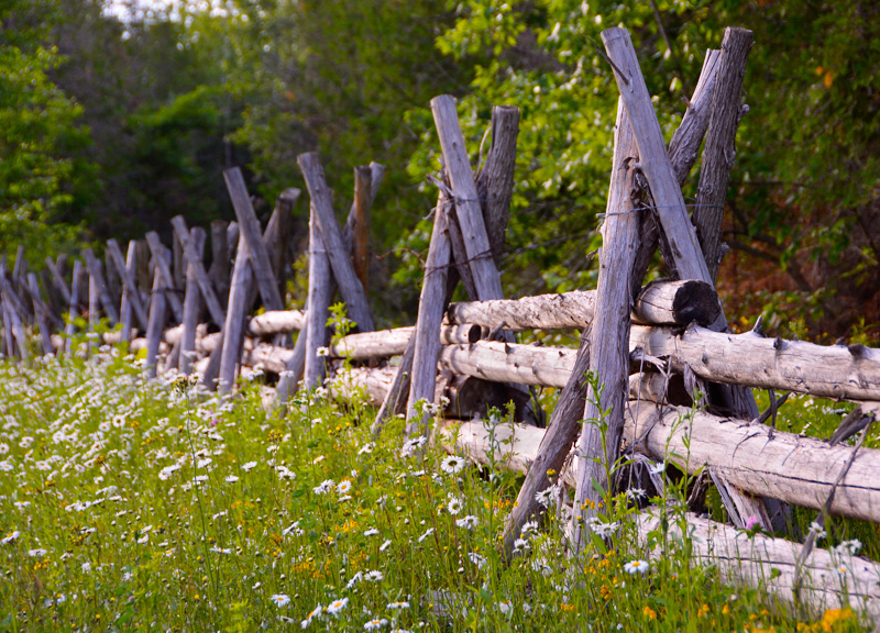 Don't fence me in...