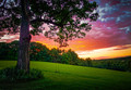 Nature's Playground