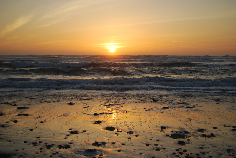 California Dreams