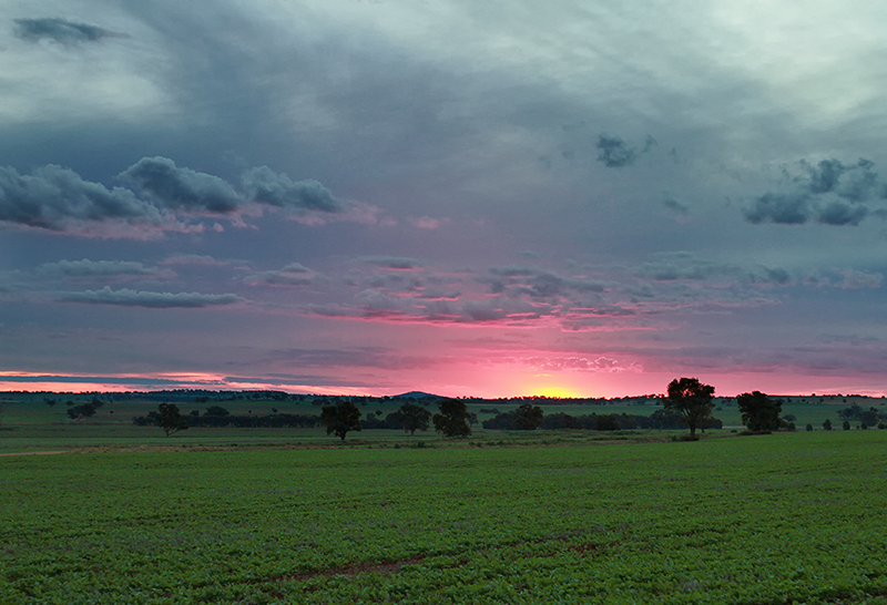 Country Sunset