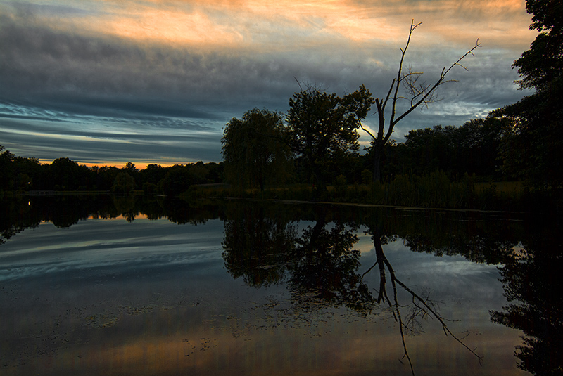 sunset in the park