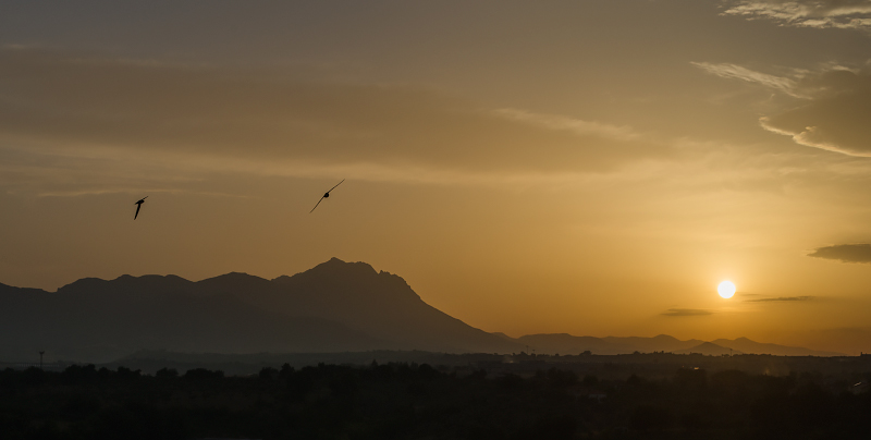 Sunset Flights