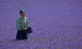 Lavender Field Farmer