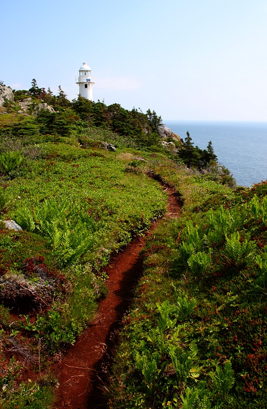 Path to the Lighthouse