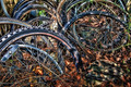 The Bicycle Boneyard