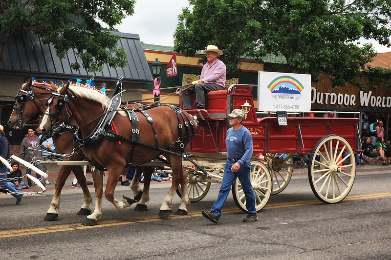 RodeoParadeWheels070814
