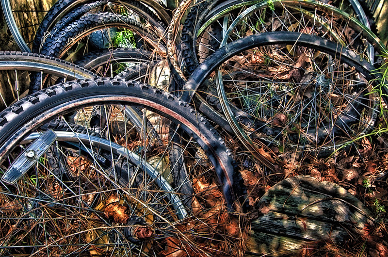 The Bicycle Boneyard