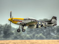 Warbird (P-51 Mustang)