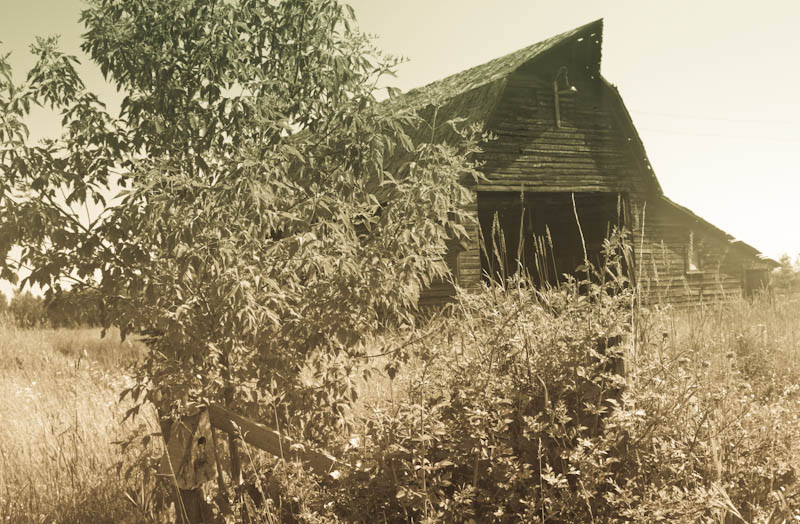 Barn still Standing