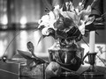 B&W ChallengeEntry