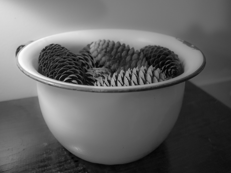 Pine Cones In Bowl