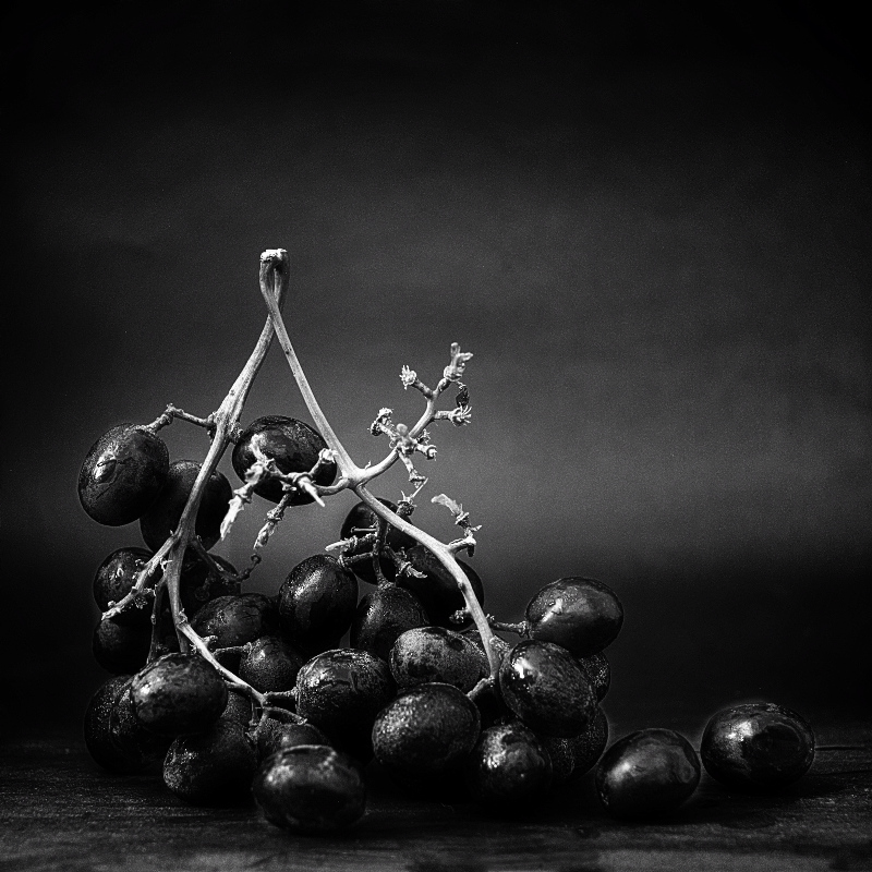 Black on black still life 