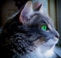 Vigilance