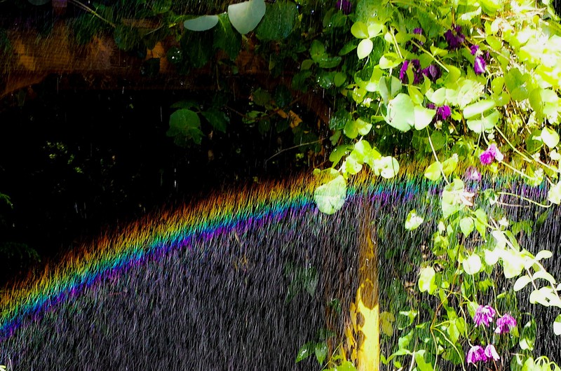 Hose Rainbow