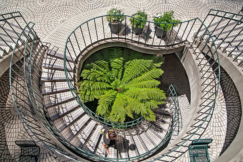 circles and curves
