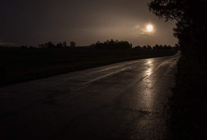 Rainy Country Morning