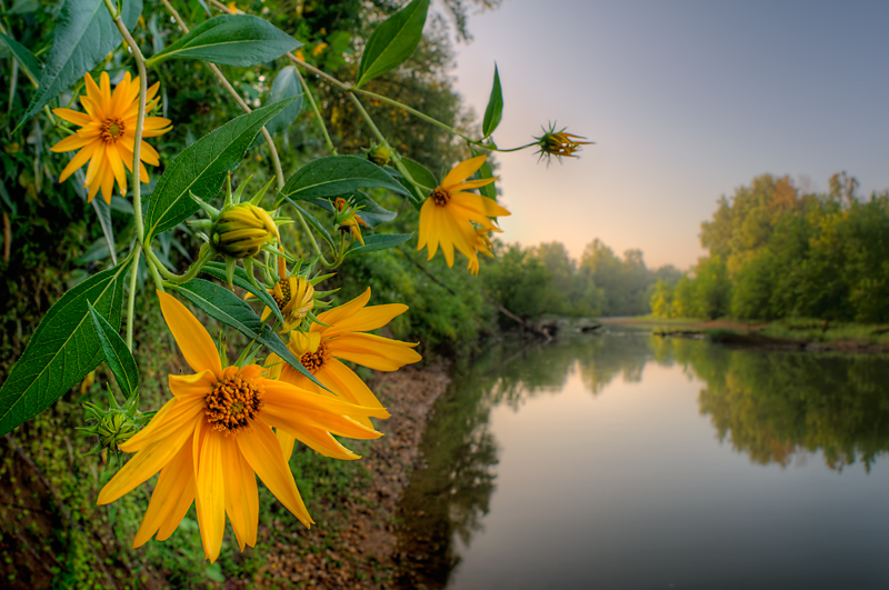 Down by the River