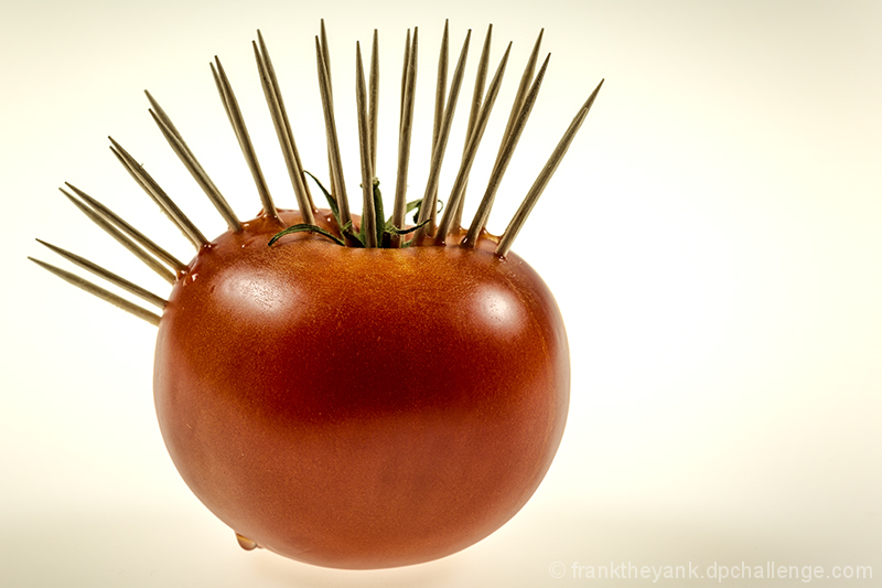 Punk Tomato