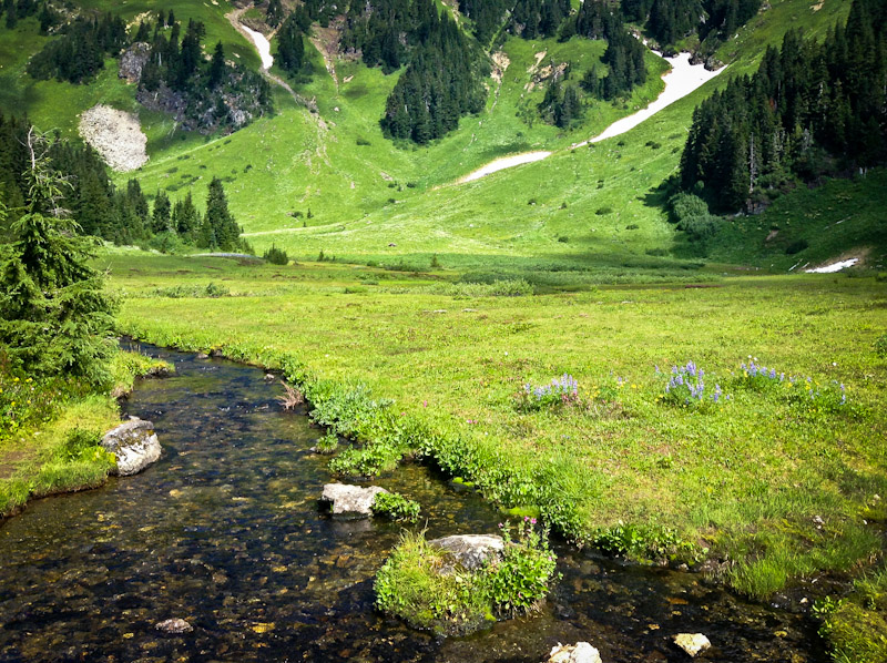 Babbling Brook