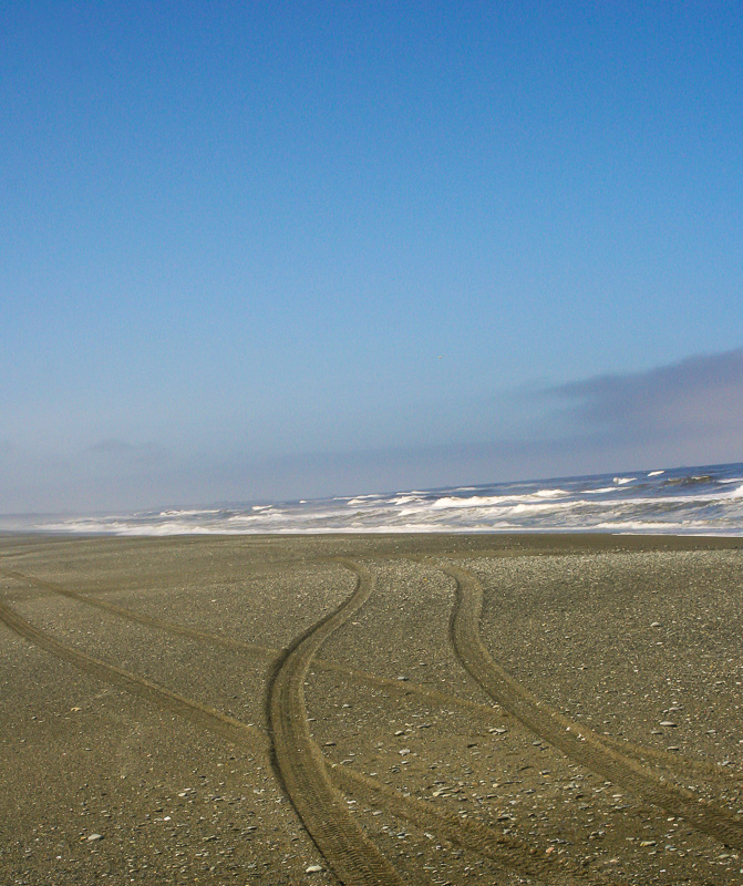 Divergent Paths