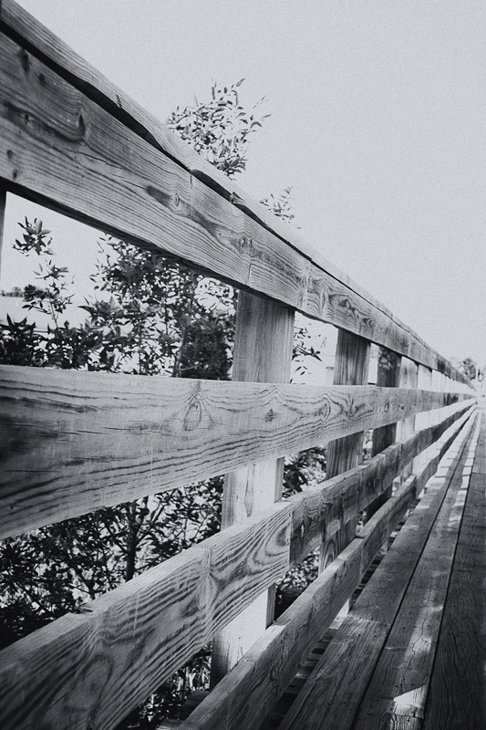 The Straight and Narrow