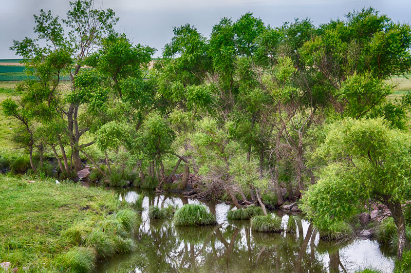 Oasis on the Prairie