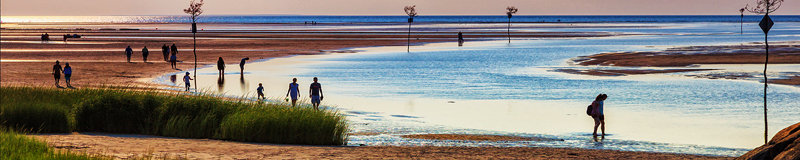 A Midsummer Evening at the Shore