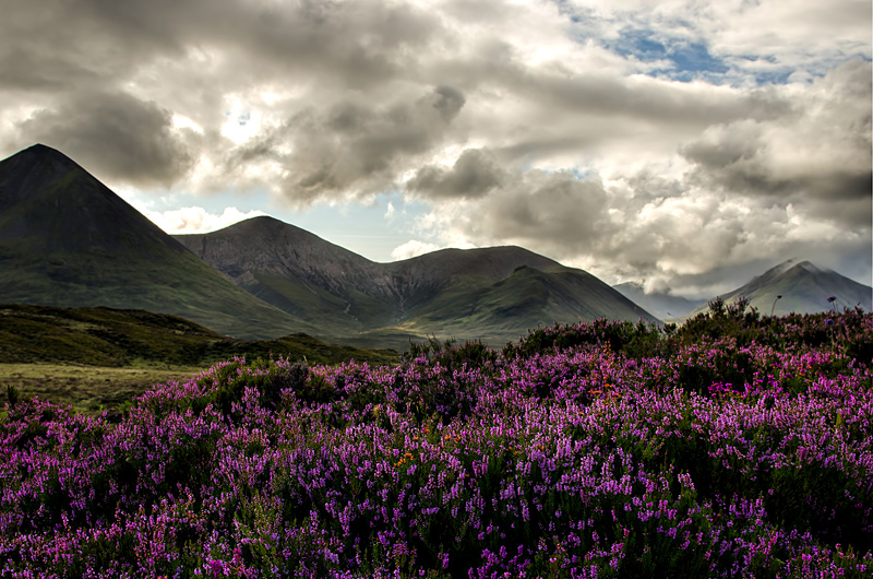 Heath and Hills