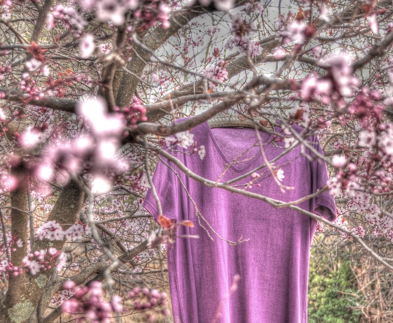 Spring clothing
