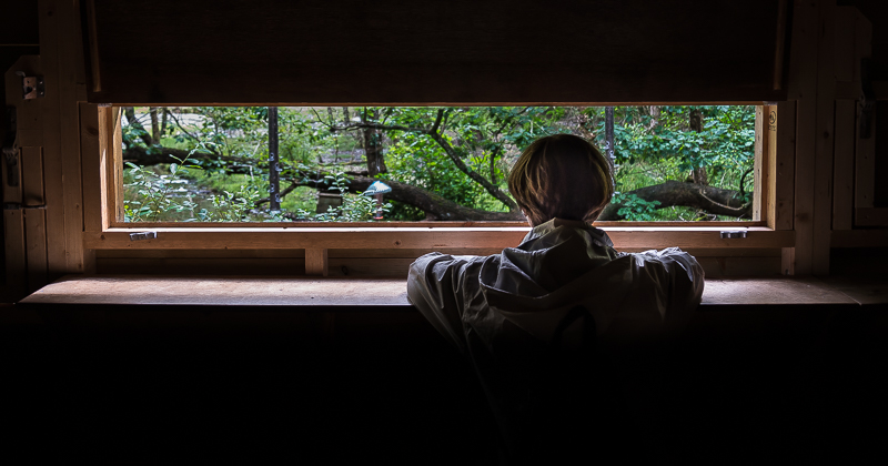 Watching Birds
