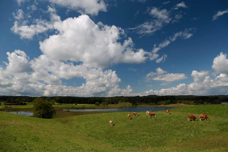 Bavarian Idyll