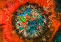 Eye