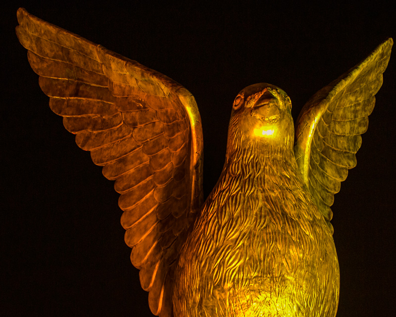 Golden Bird