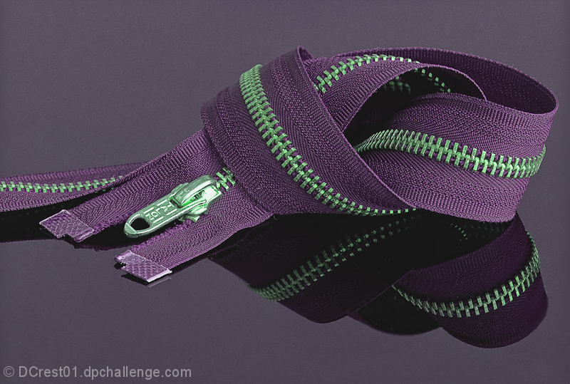 Purple Zipper