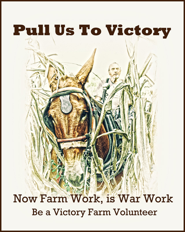 Pull Us To Victory