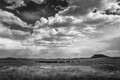 Buffalo run