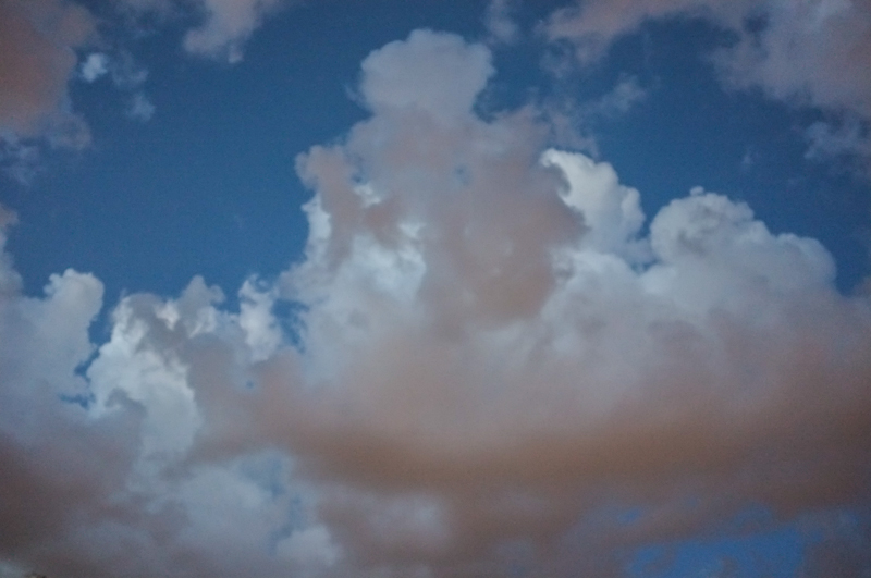 Stratocumulus Cumulogenitus