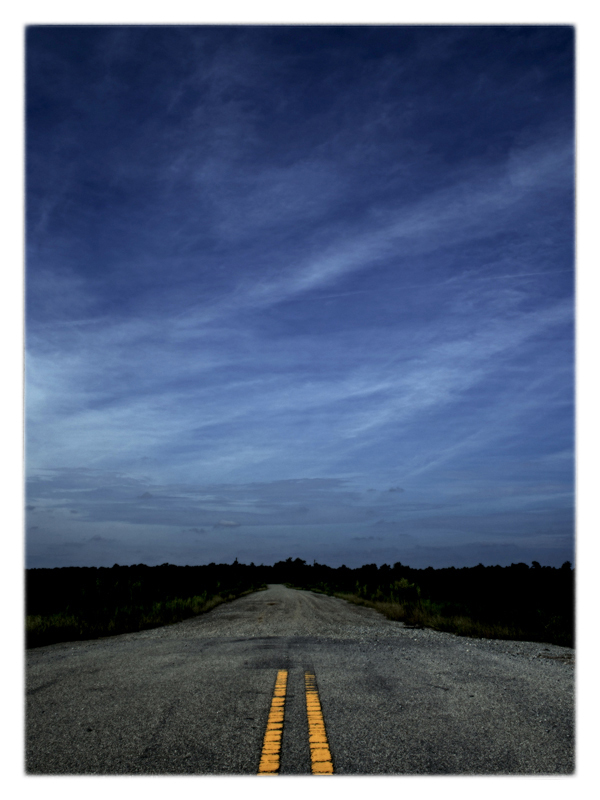 Pitt County