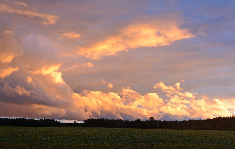 After the Storm