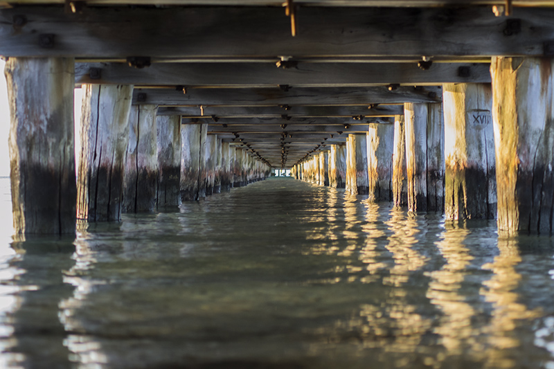Under Rosebud Pier