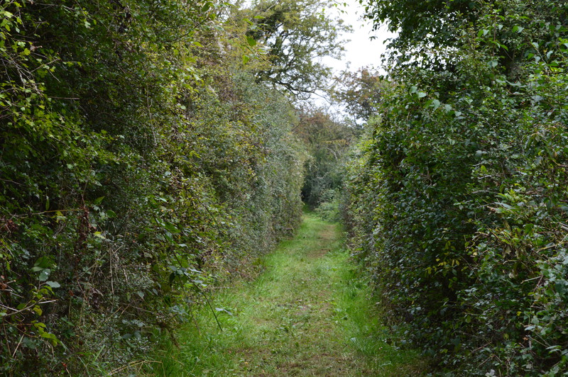 Chemin