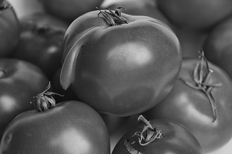 Mr. Tomato