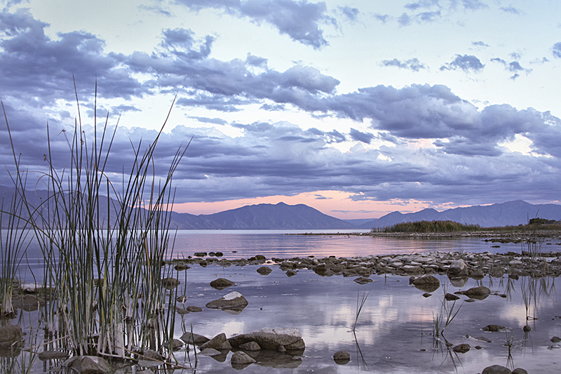 Reflecting Pastel Skies