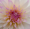 The organic beauty of Mother Nature
