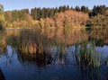 Lakesnap 