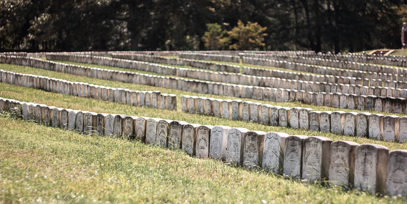 Andersonville Horror