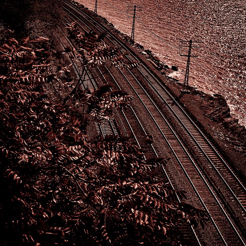 blood on the tracks
