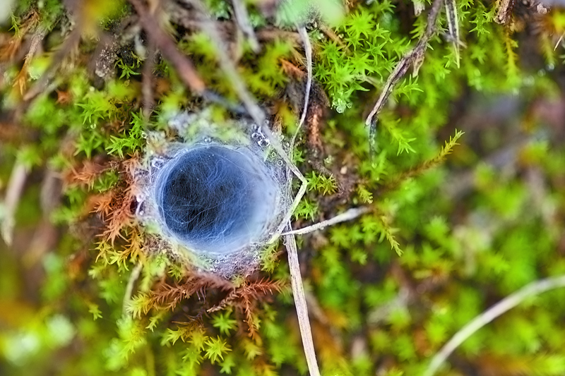 wormhole