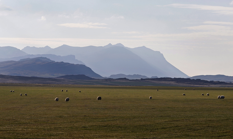 In the country.